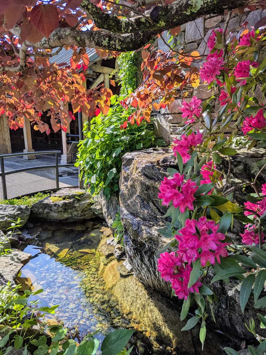 Botanical Gardens Asheville Botanical Gardens Asheville