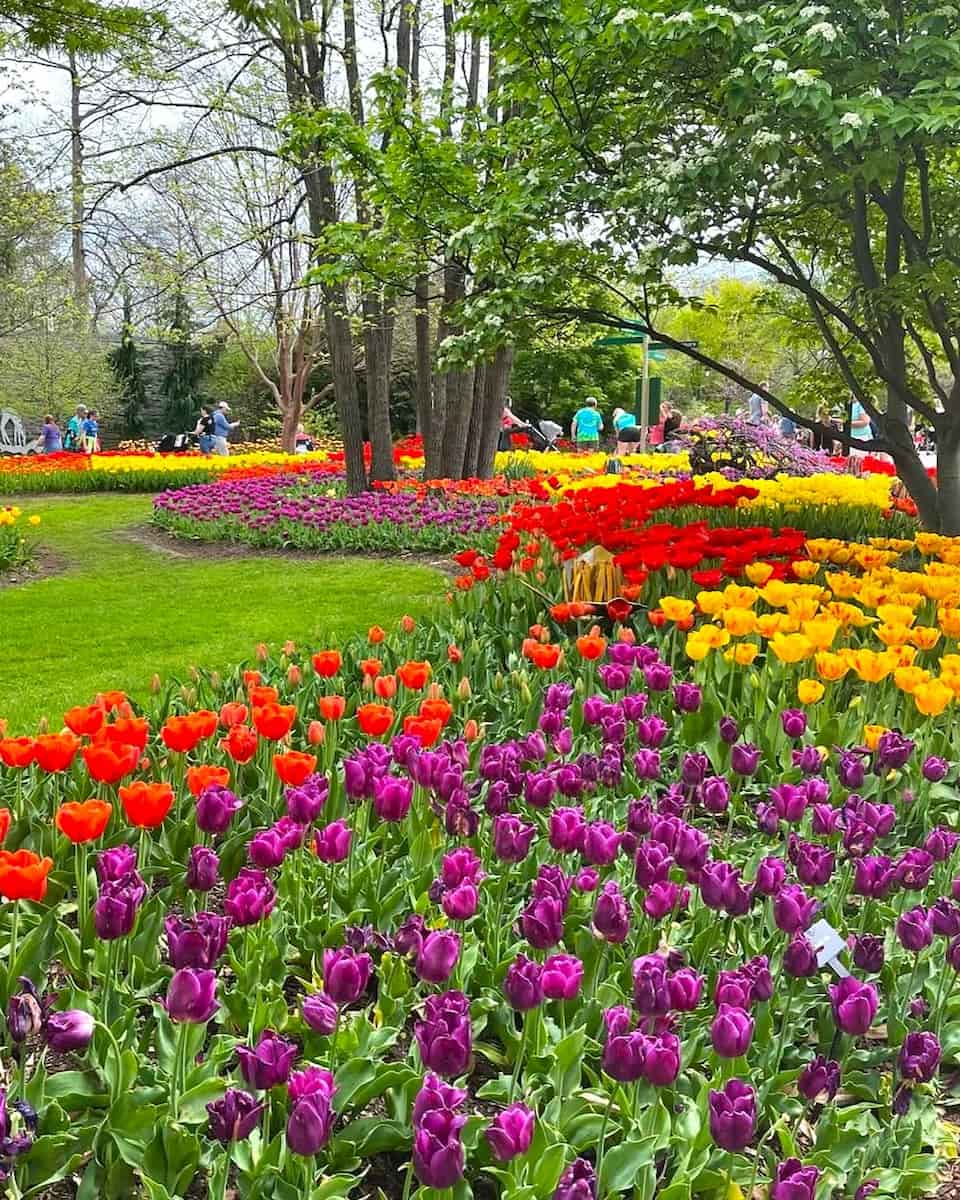 Botanical Garden, Cincinnati Botanical Garden, Cincinnati