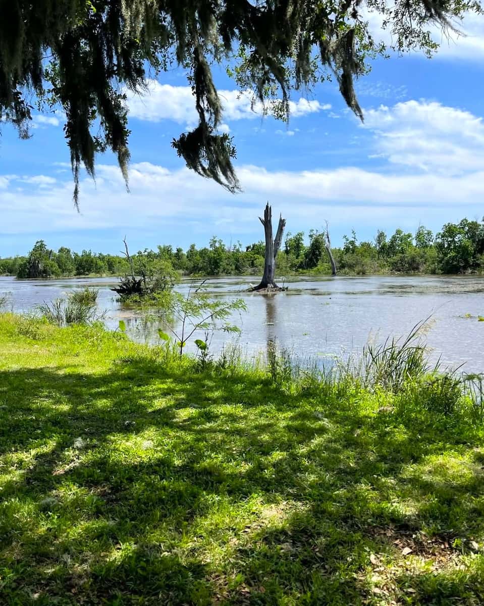 Brazos Bend State Park, TX Brazos Bend State Park, TX