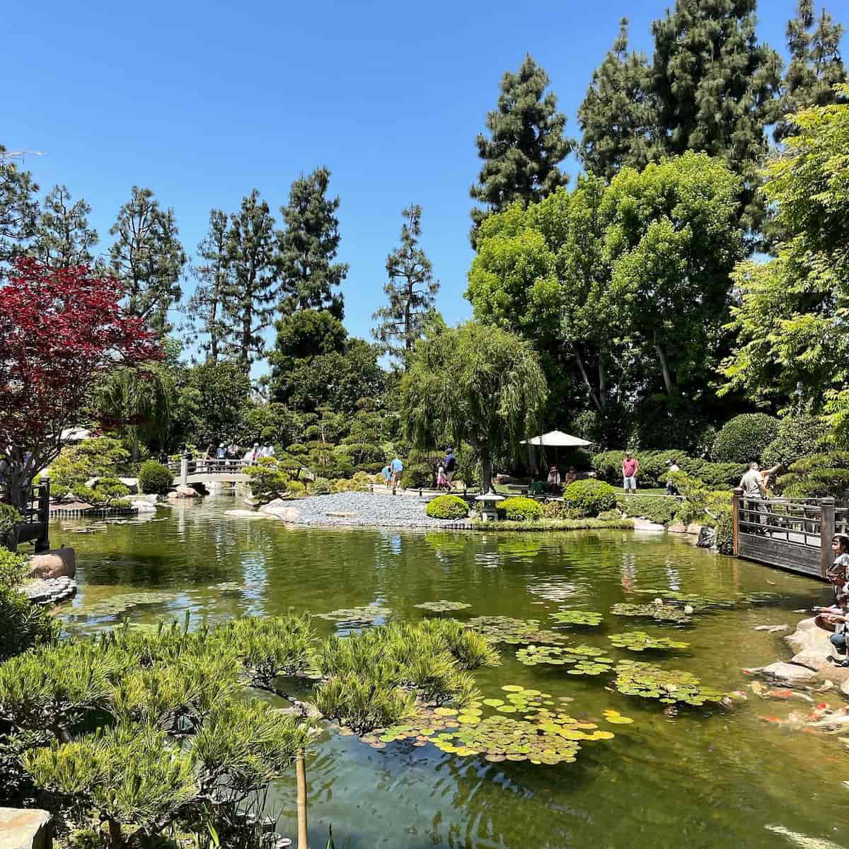 Japanese Garden, Long Beach Japanese Garden, Long Beach