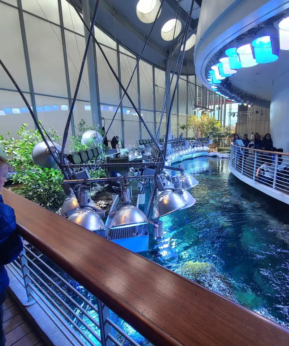 California Academy of Sciences, San Francisco California Academy of Sciences, San Francisco