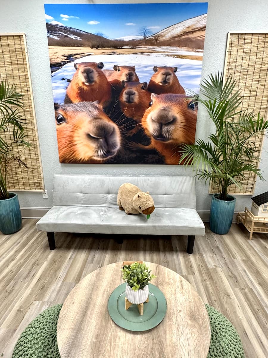 Capybara Cafe, St Augustine Capybara Cafe, St Augustine
