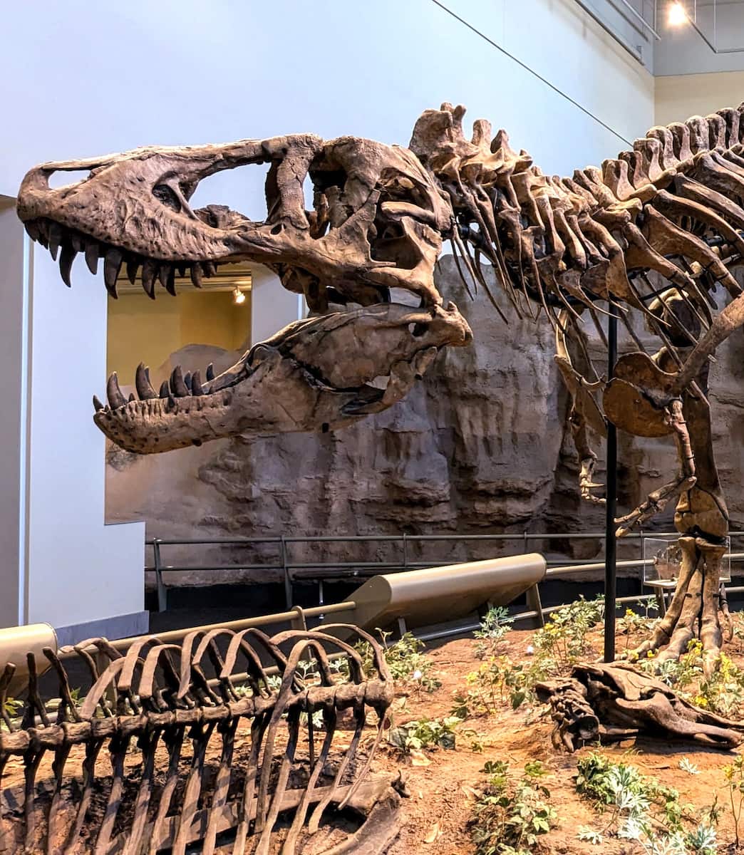 Carnegie Museum of Natural History, Pittsburgh Carnegie Museum of Natural History, Pittsburgh