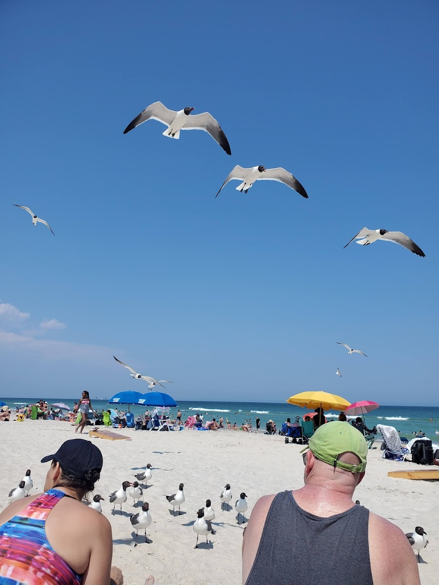 Carolina Beach Boardwalk, Wilmington Carolina Beach Boardwalk, Wilmington