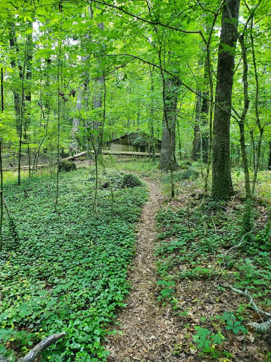 Cascade Springs Nature Preserve, Georgia, US Cascade Springs Nature Preserve, Georgia, US