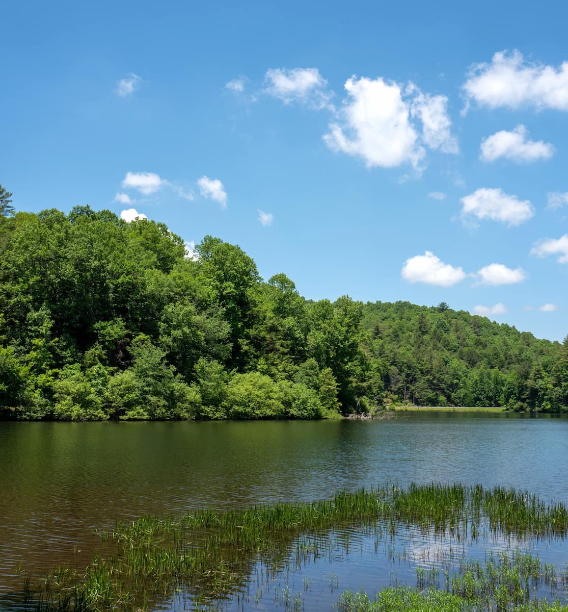 Chattahoochee National Forest, GA Chattahoochee National Forest, GA