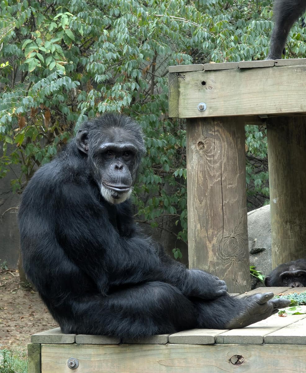 Chattanooga Zoo Chattanooga Zoo