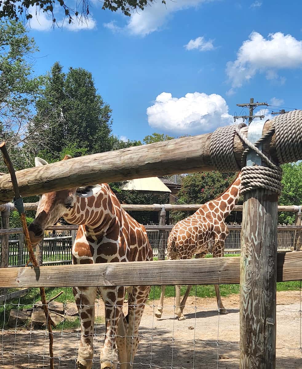Chattanooga Zoo Chattanooga Zoo