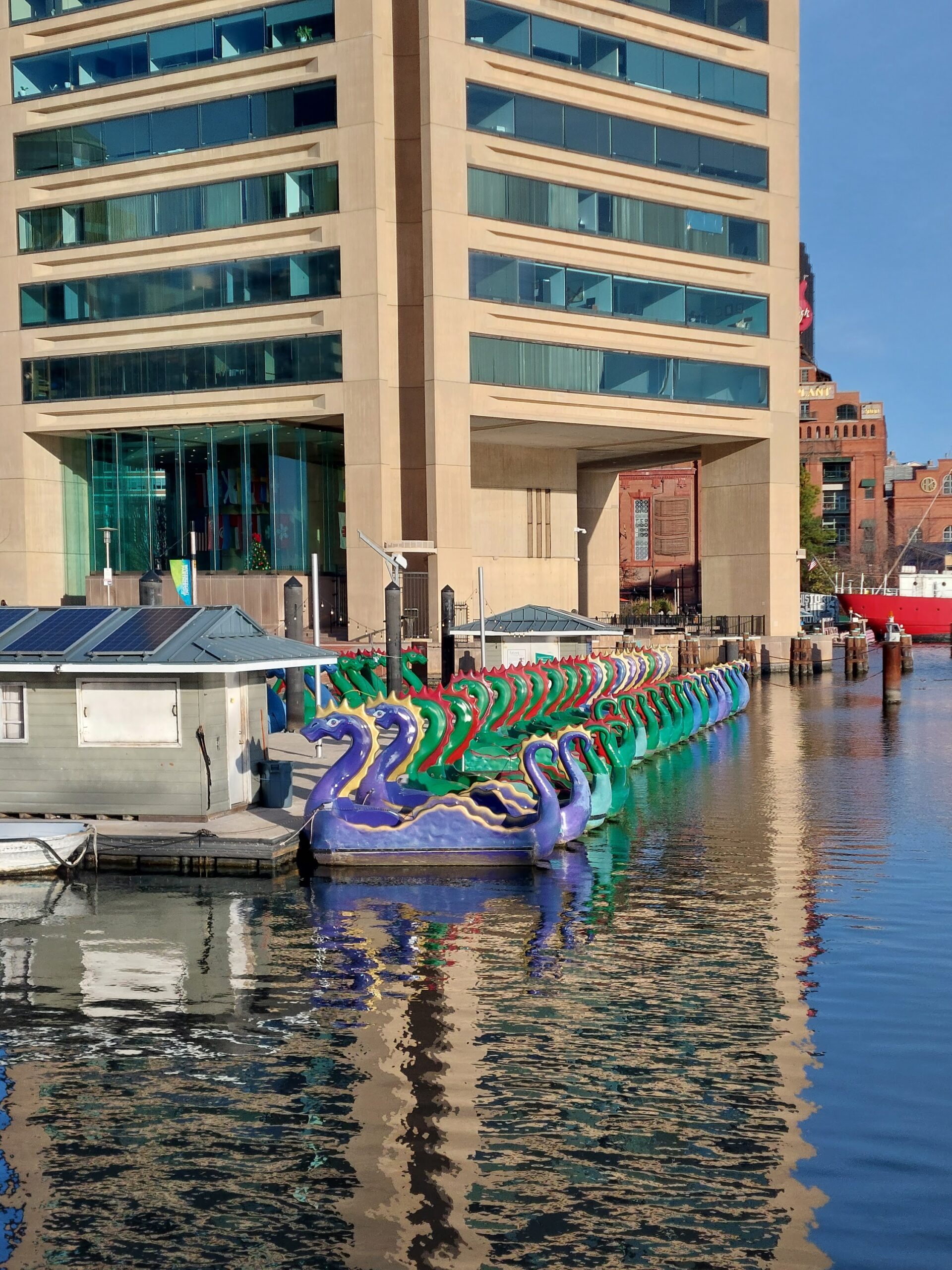 Chessie Dragon Paddleboats, Baltimore Chessie Dragon Paddleboats, Baltimore