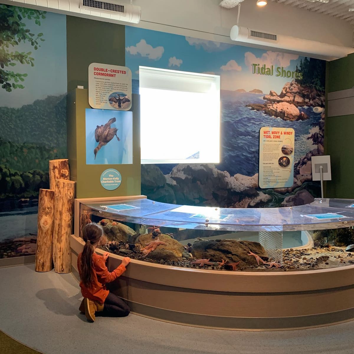 Children's Museum & Theatre of Maine, Portland Children's Museum & Theatre of Maine, Portland