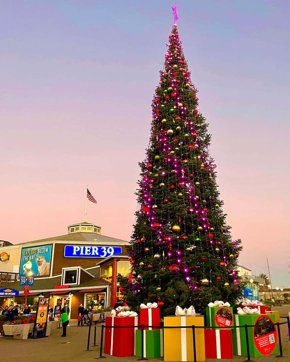 Christmas in San Francisco Christmas in San Francisco