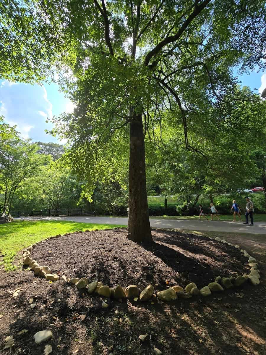 Cleveland Park, Greenville Cleveland Park, Greenville