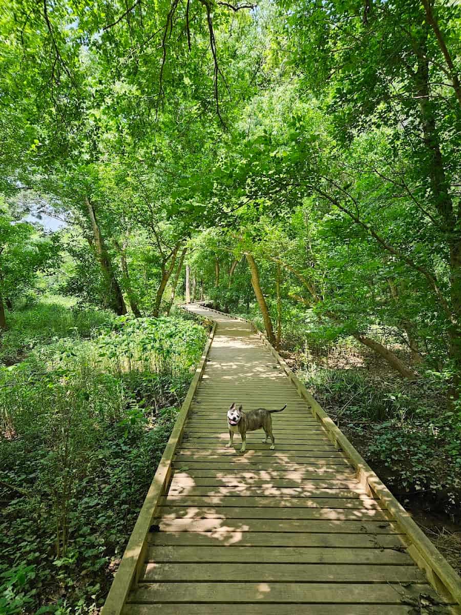Cleveland Park, Greenville Cleveland Park, Greenville