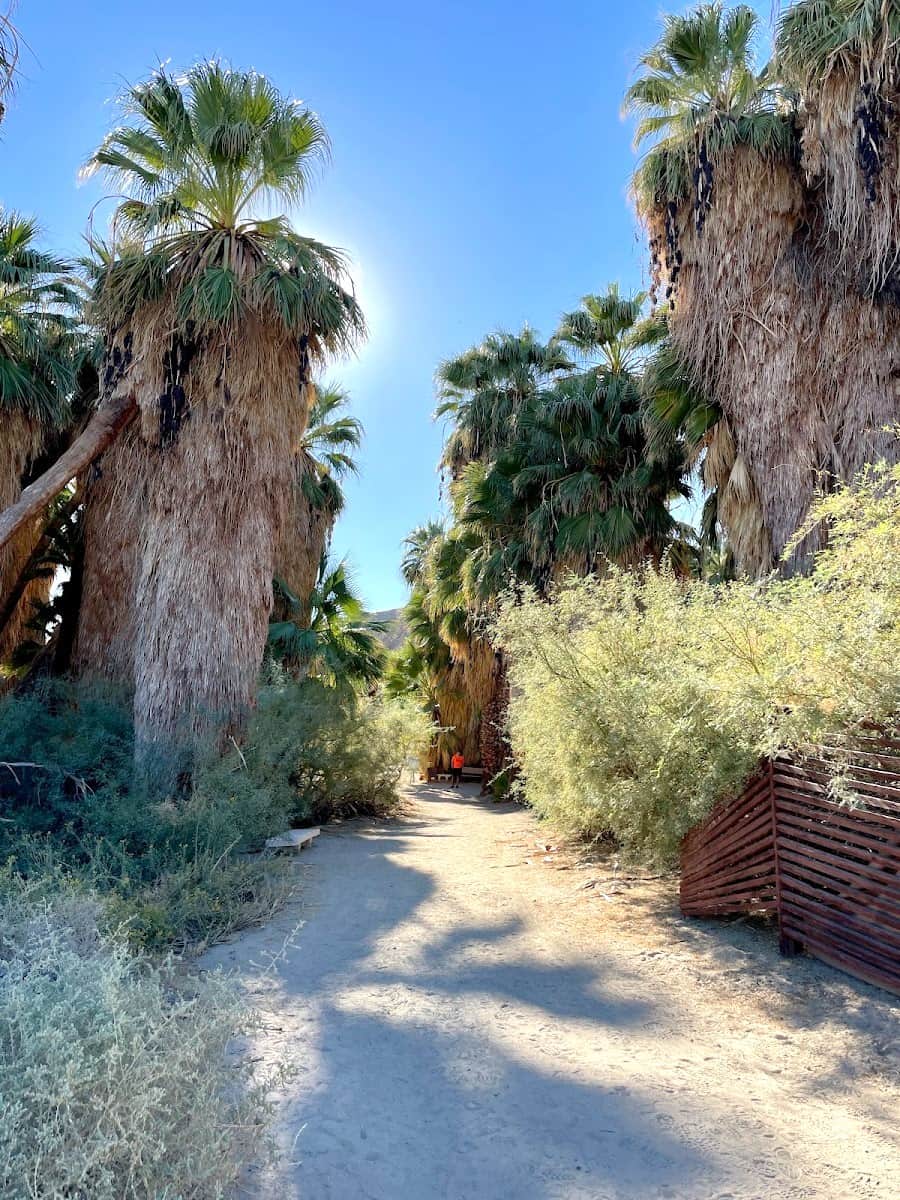 Coachella Valley Preserve, Palm Springs Coachella Valley Preserve, Palm Springs
