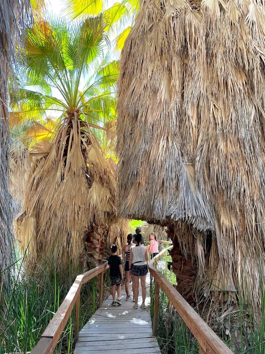 Coachella Valley Preserve, Palm Springs Coachella Valley Preserve, Palm Springs