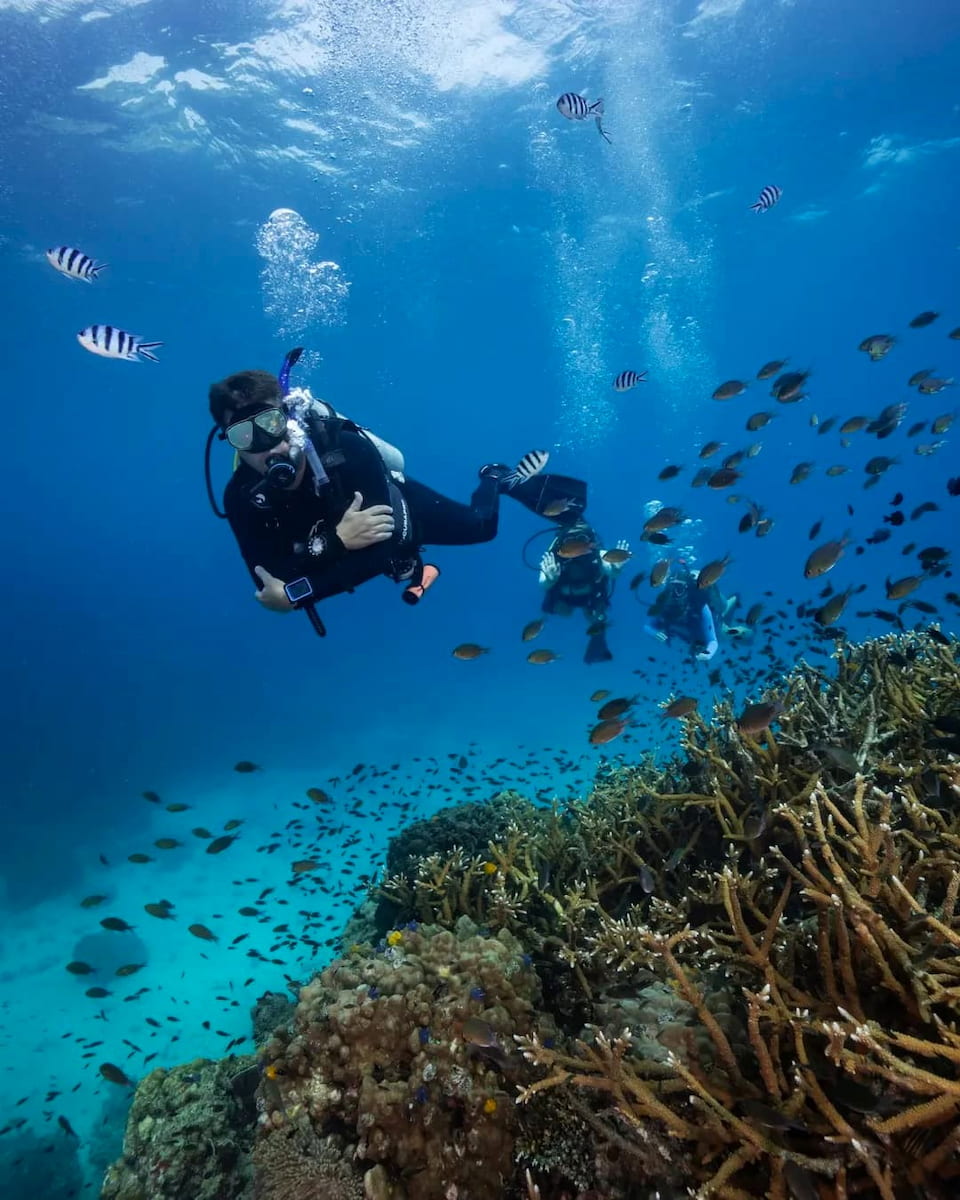 Coast Scuba, Destin Coast Scuba, Destin