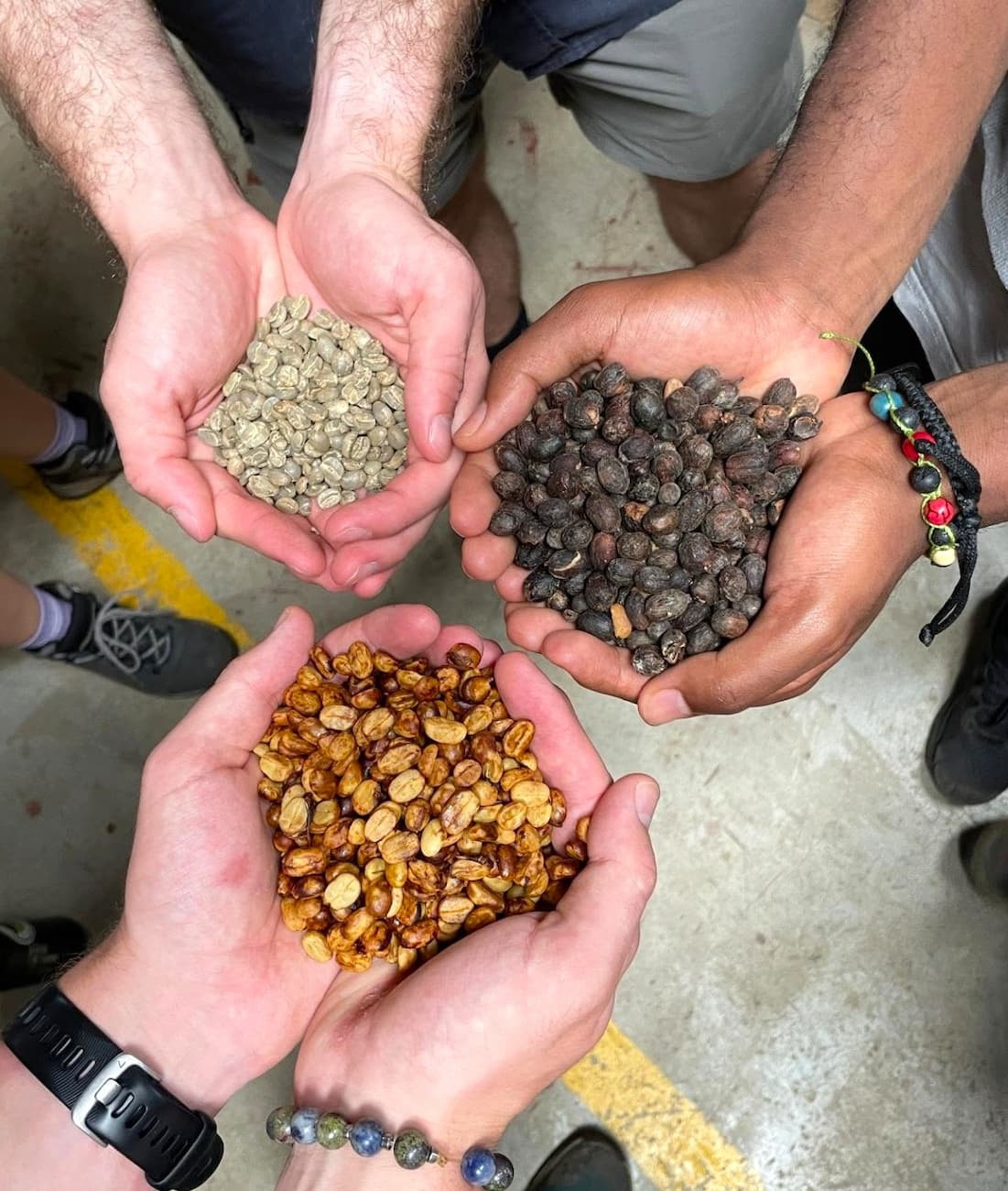 Coffee Plantation Tour Puerto Rico