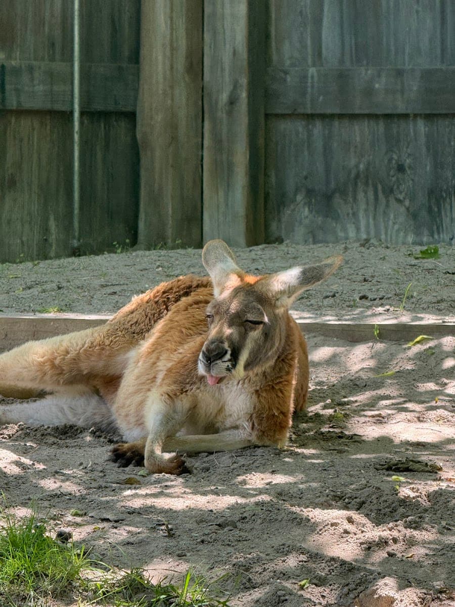 Columbus Zoo and Aquarium, Columbus, Ohio Columbus Zoo and Aquarium, Columbus, Ohio
