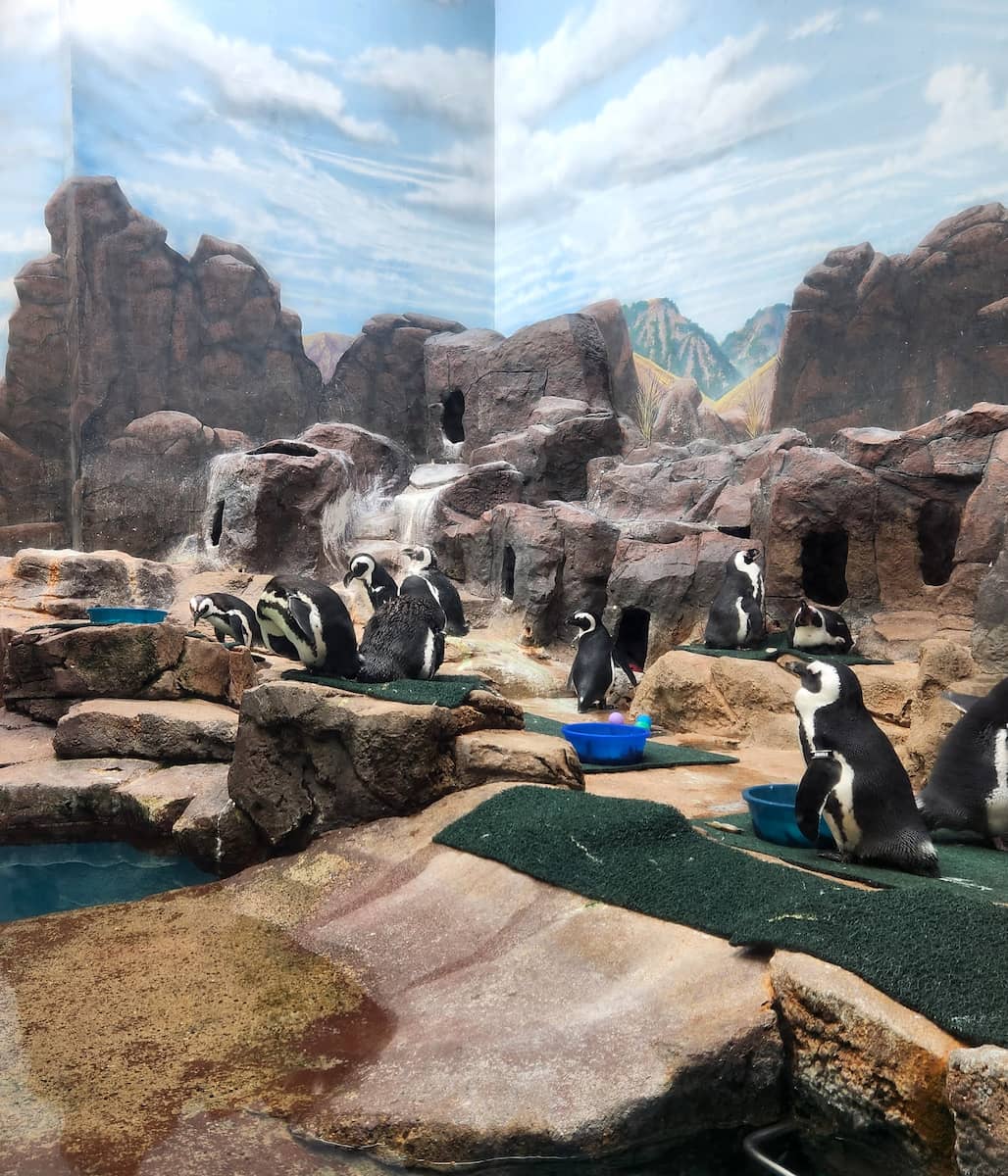 Como Zoo Minneapolis Como Zoo Minneapolis