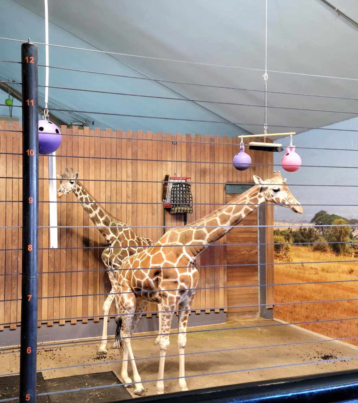 Como Zoo Minneapolis Como Zoo Minneapolis