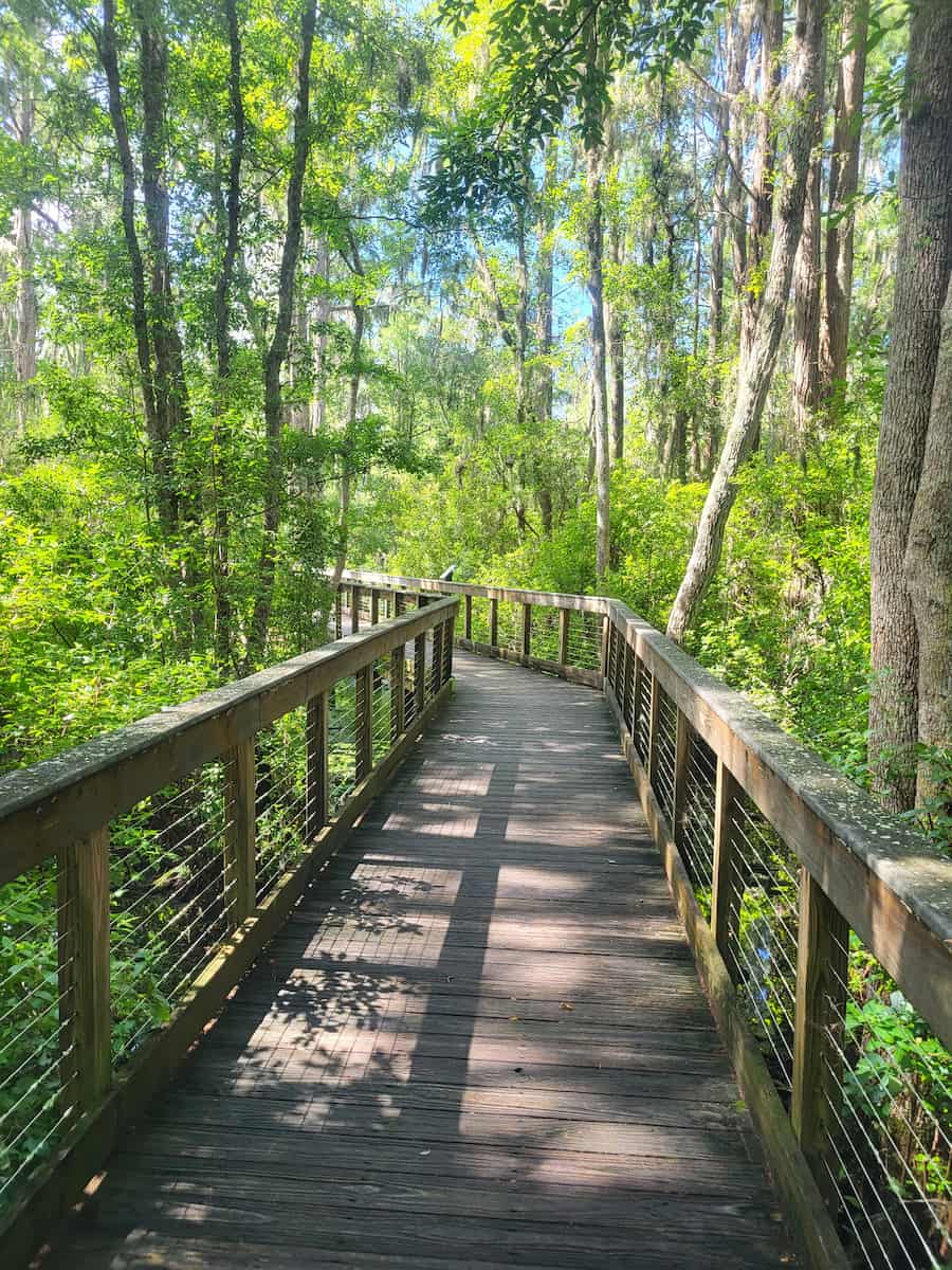 Conservation Park, Panama City Beach Conservation Park, Panama City Beach