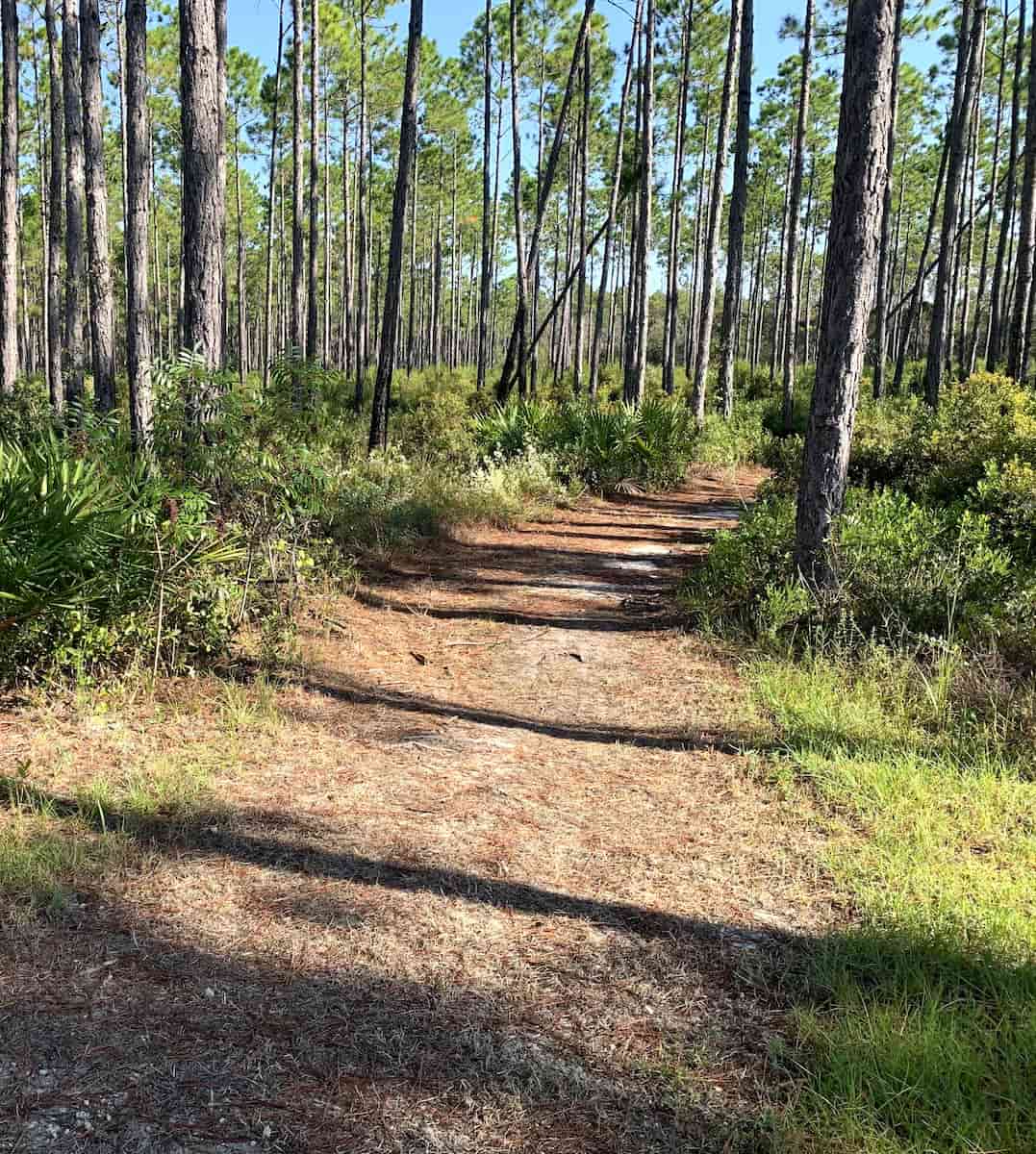 Conservation Park, Panama City Beach Conservation Park, Panama City Beach