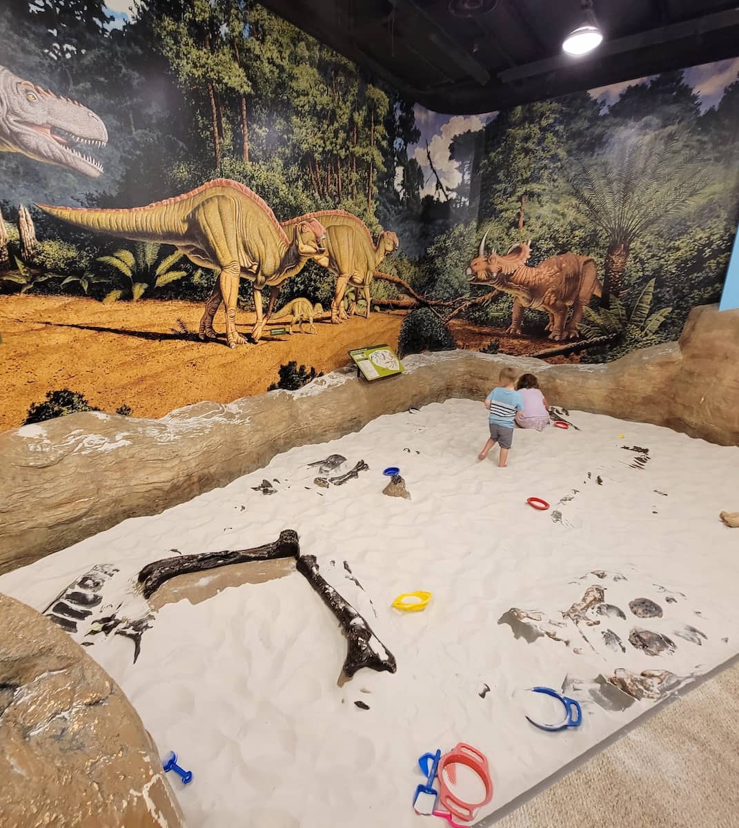 Creative Discovery Museum Chattanooga Creative Discovery Museum Chattanooga