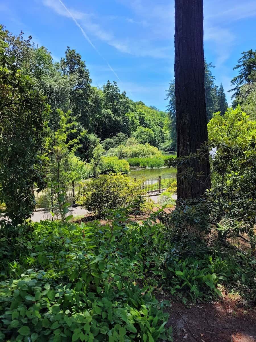 Crystal Springs Rhododendron Garden, Portland Crystal Springs Rhododendron Garden, Portland