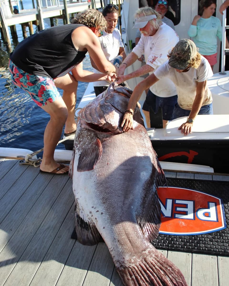 Destin Fishing Rodeo Destin Fishing Rodeo