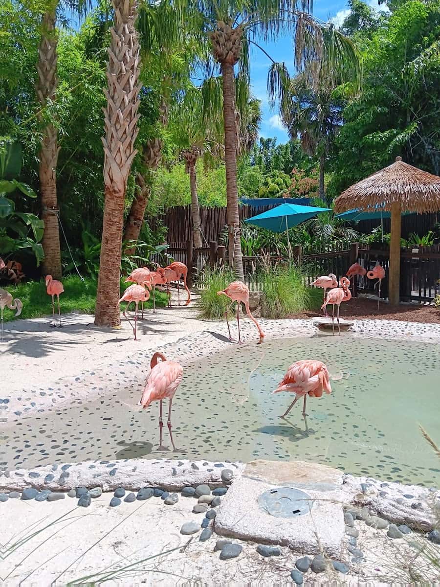 Discovery Cove, Orlando, Florida Discovery Cove, Orlando, Florida