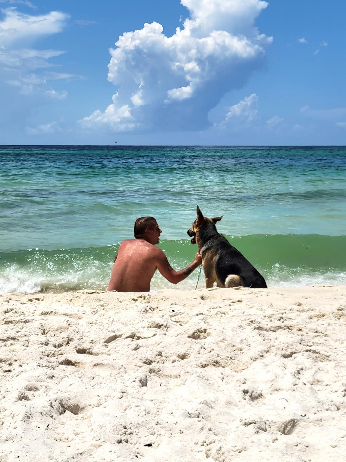 Dog Beach at Pier Park, Panama City Beach Dog Beach at Pier Park, Panama City Beach