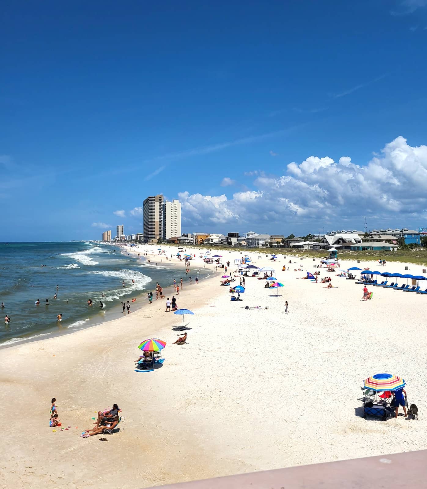 Dog Beach at Pier Park, Panama City Beach Dog Beach at Pier Park, Panama City Beach