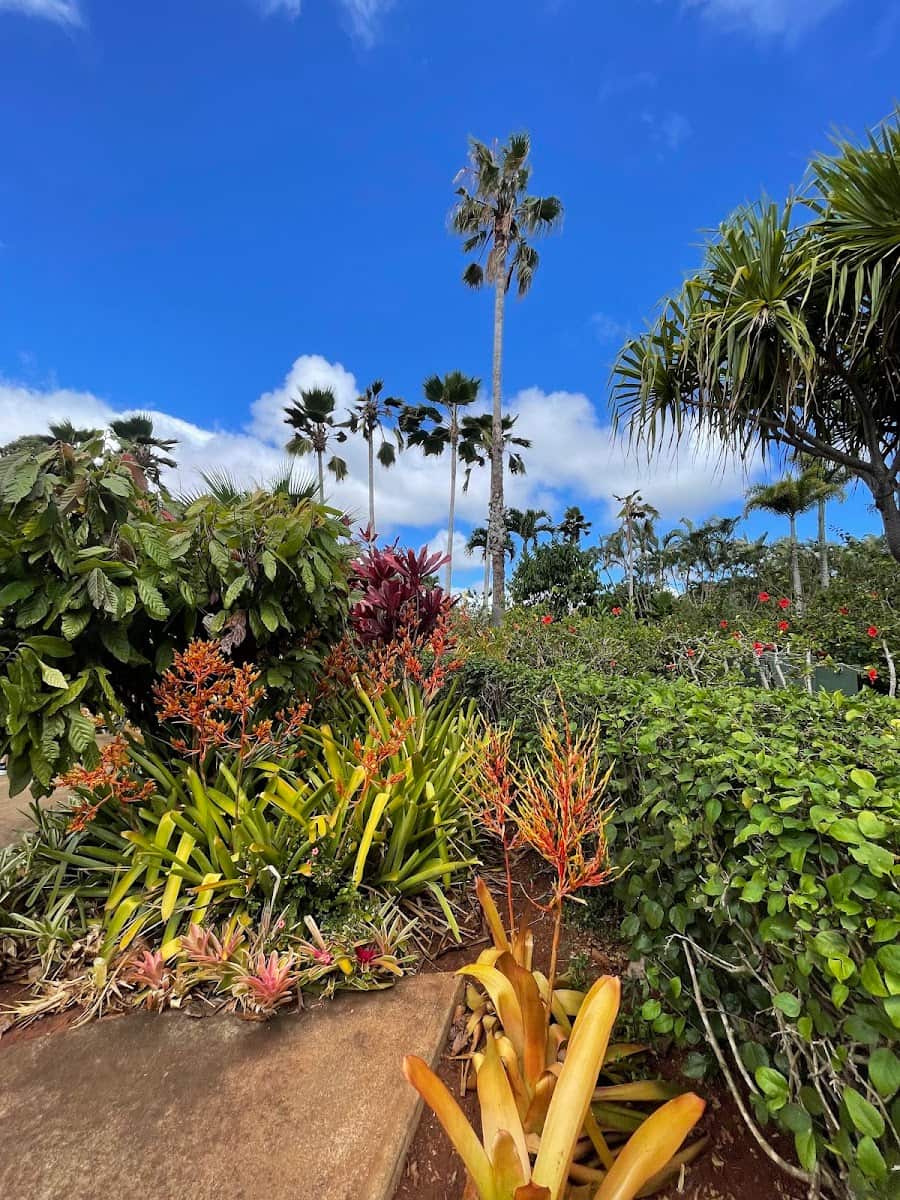 Dole Plantation, Hawaii Dole Plantation, Hawaii