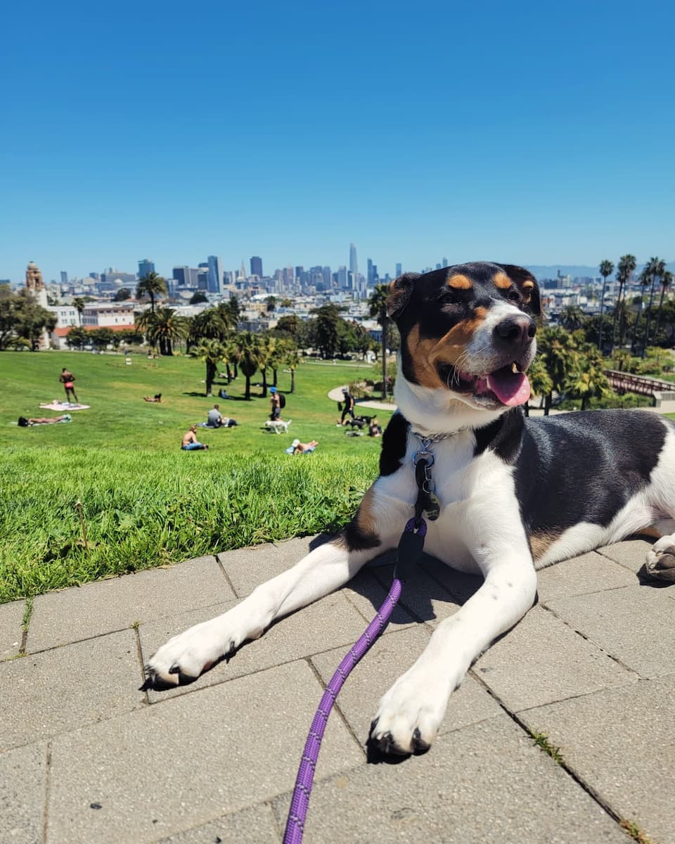 Dolores Park, San Francisco Dolores Park, San Francisco