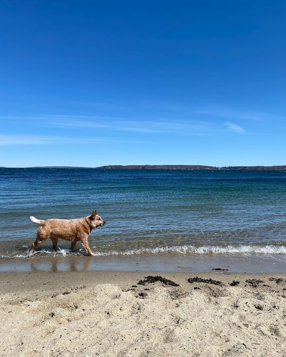 East End Beach, Portland Maine East End Beach, Portland Maine