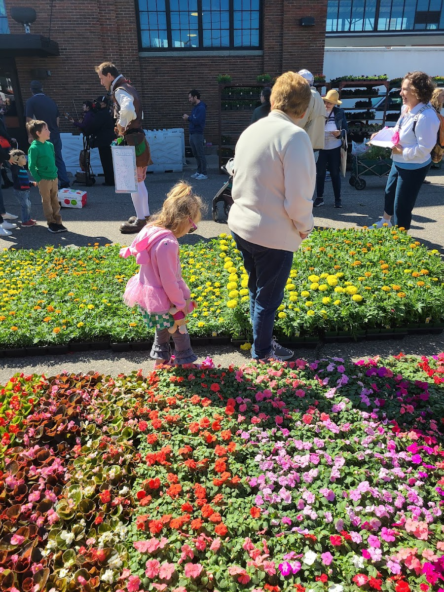 Eastern Market Flower Day, Detroit Eastern Market Flower Day, Detroit