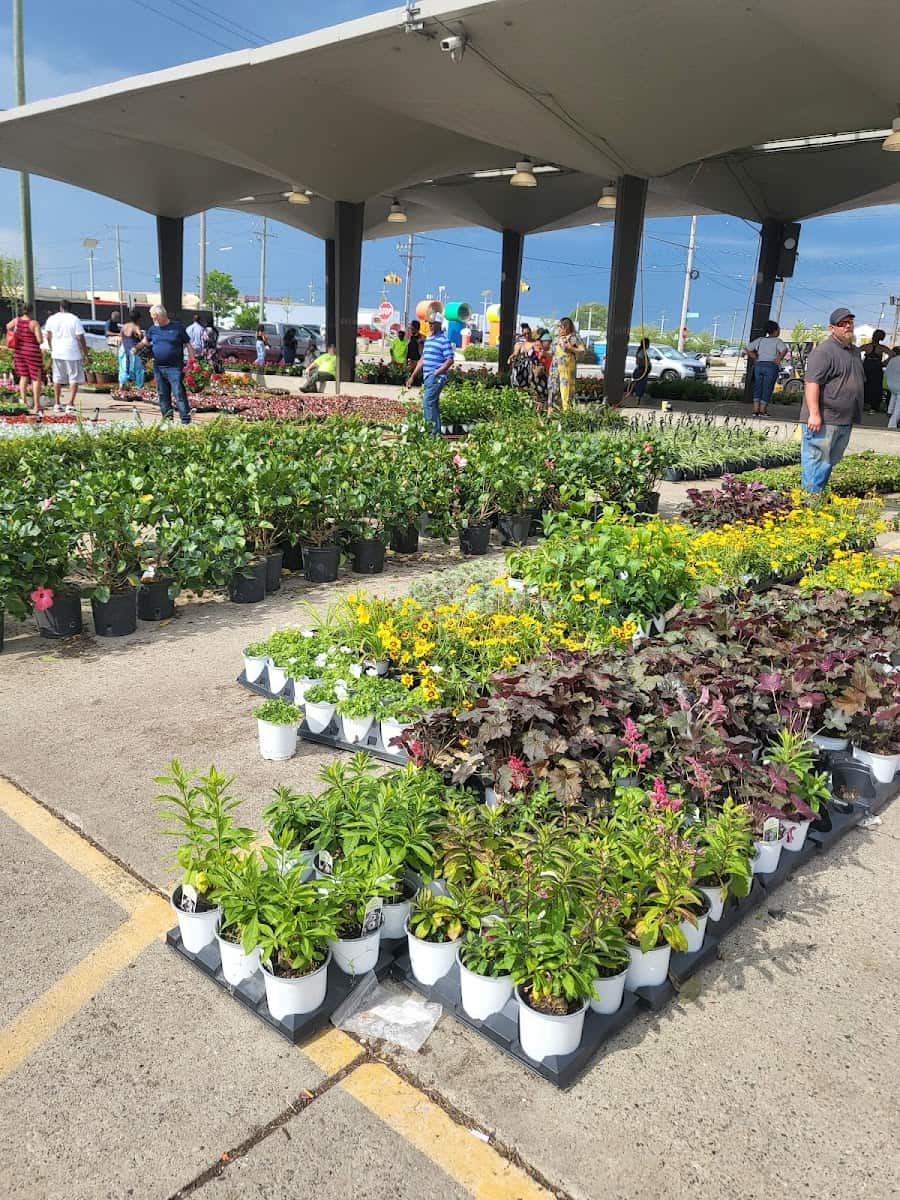 Eastern Market Flower Day, Detroit Eastern Market Flower Day, Detroit