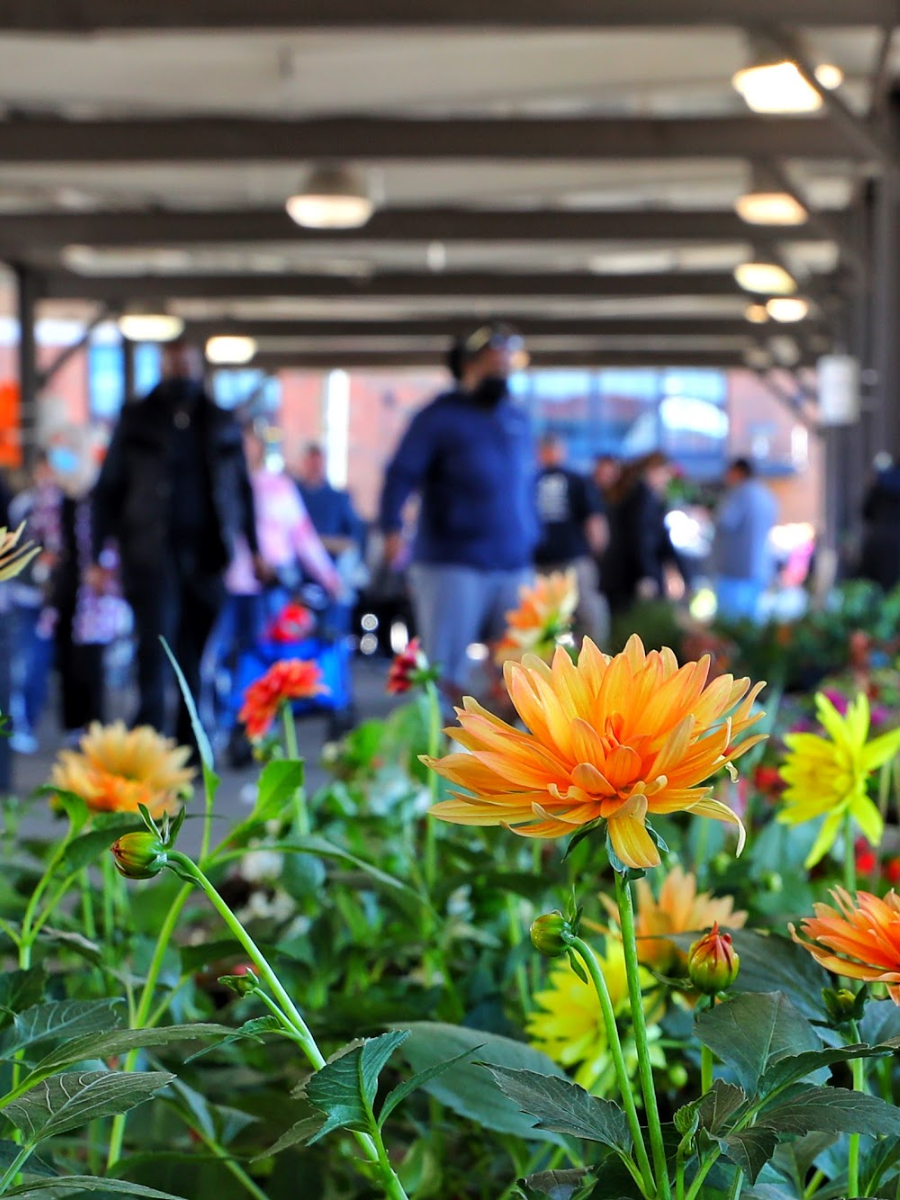 Eastern Market Flower Day, Detroit Eastern Market Flower Day, Detroit