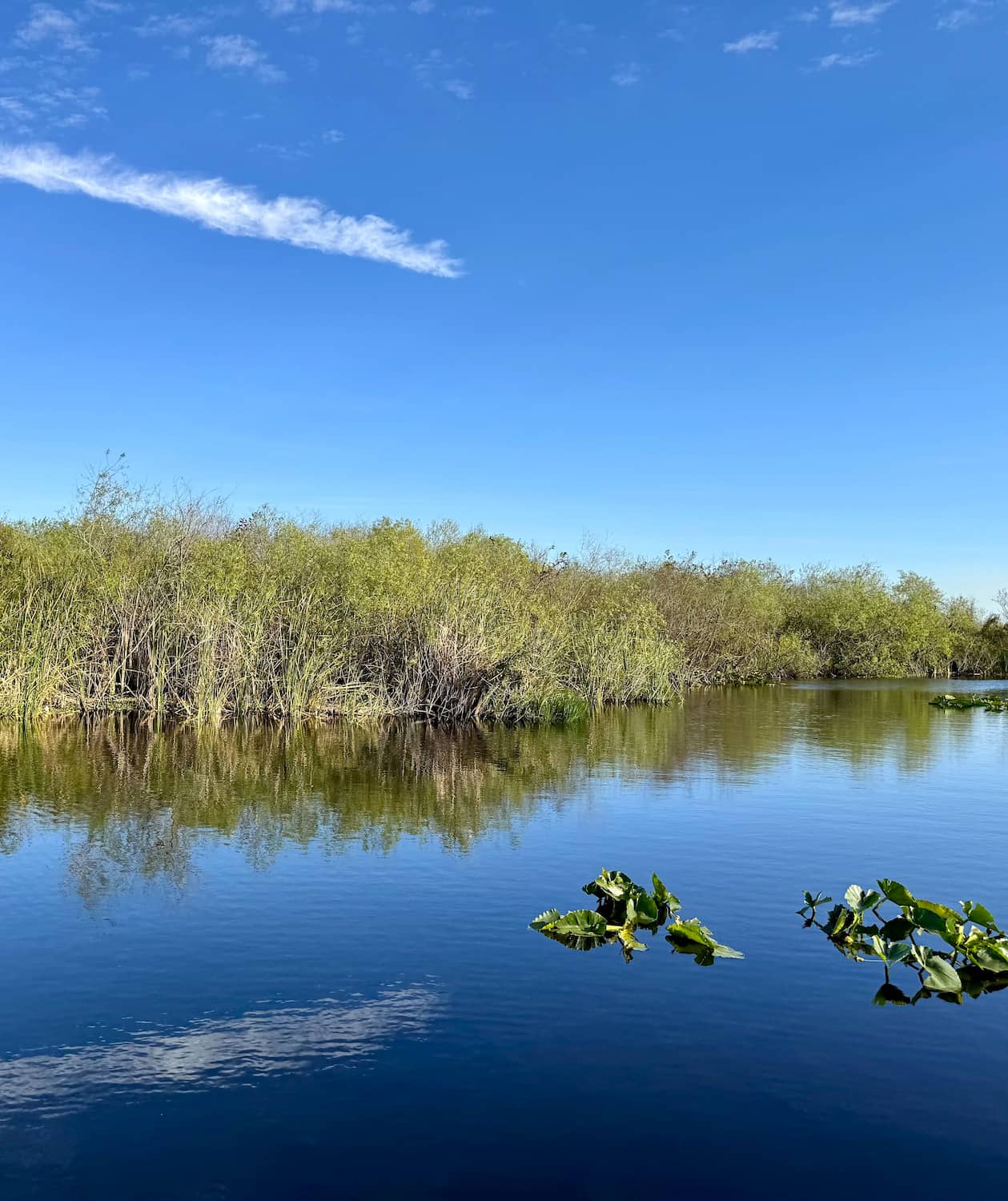 Everglades Airboat Tour Fort Lauderdale Everglades Airboat Tour Fort Lauderdale
