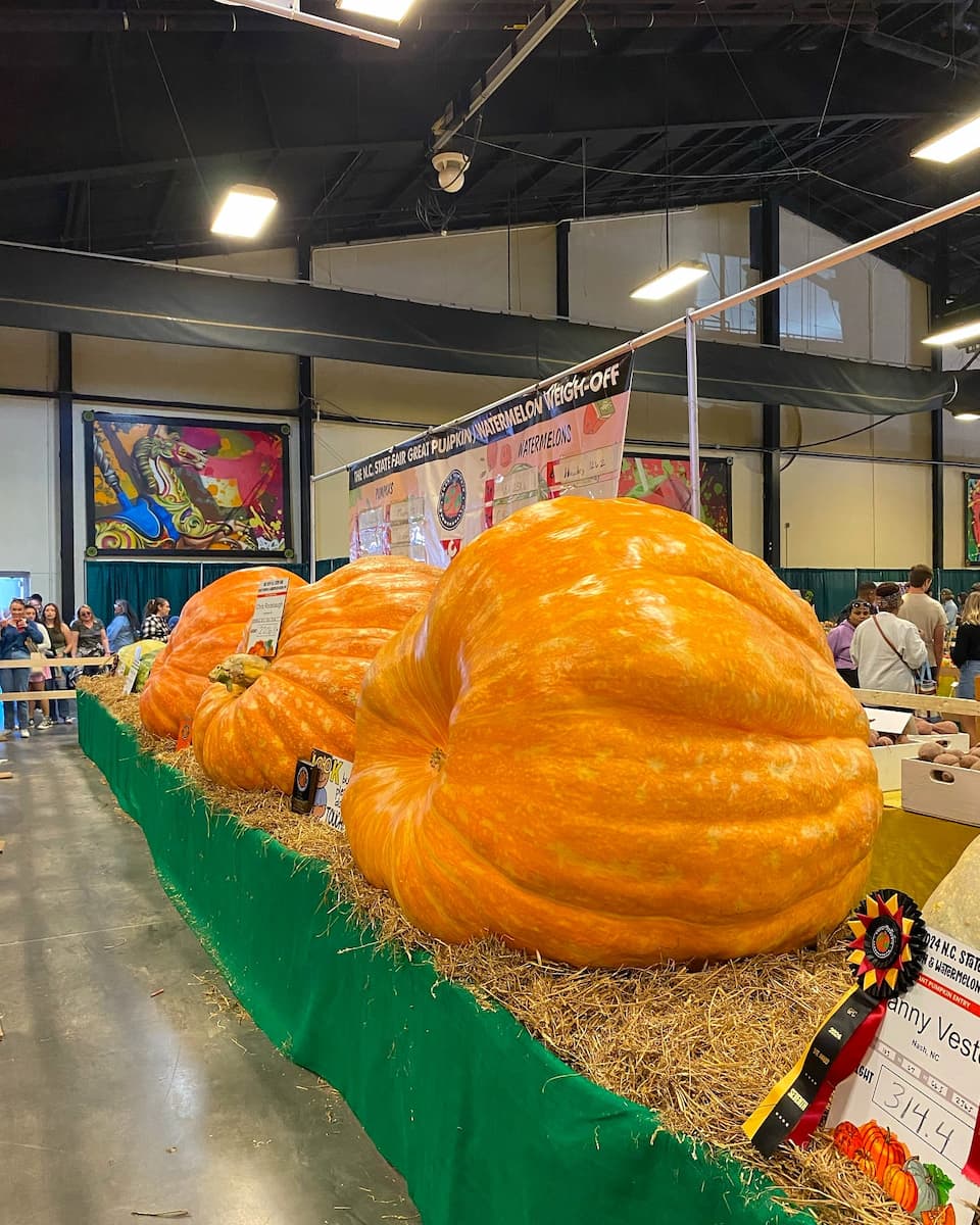 Fall State Fair, Raleigh Fall State Fair, Raleigh