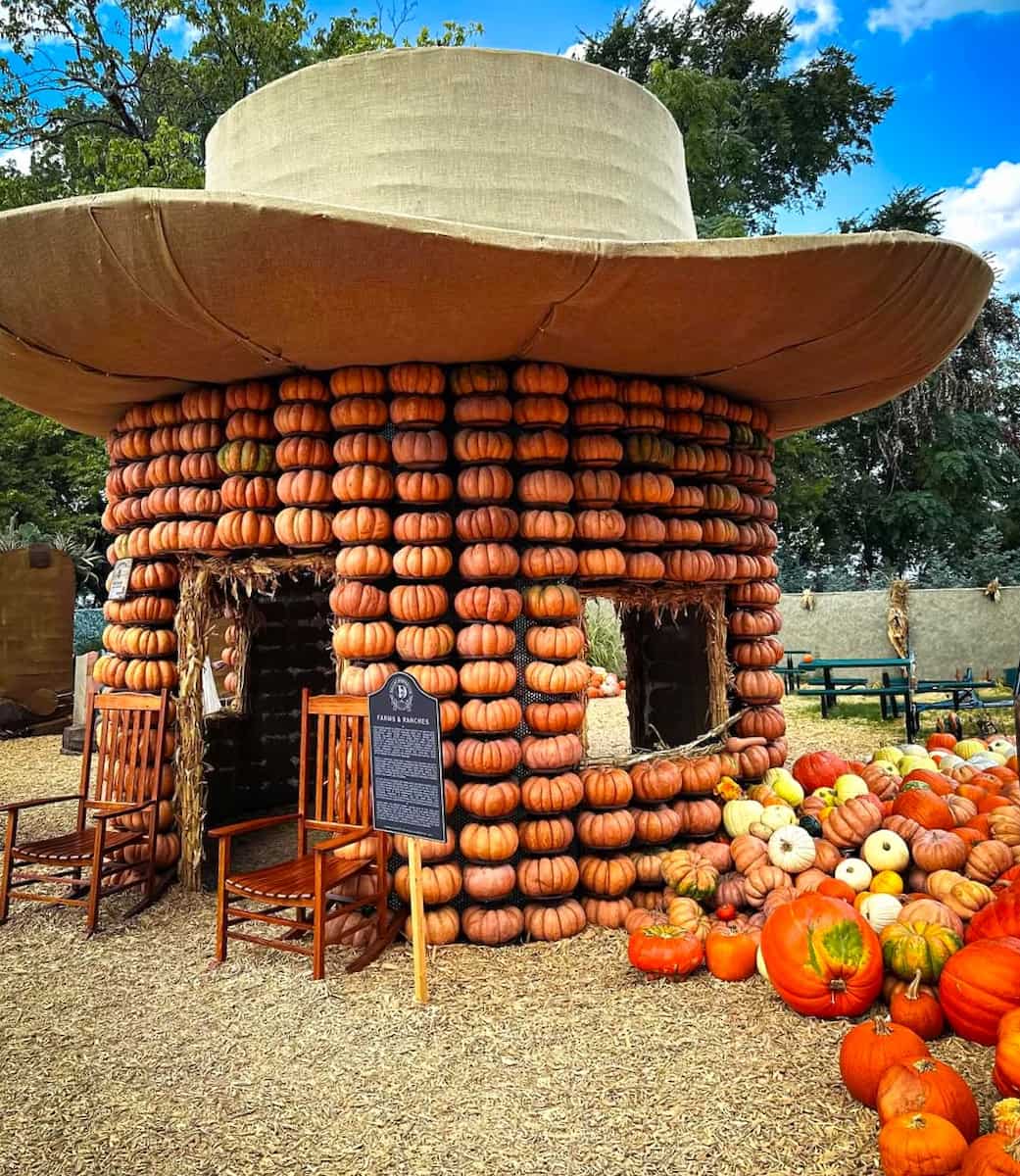 Fall in Texas Fall in Texas