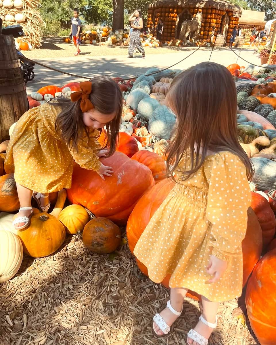 Fall in Texas Fall in Texas