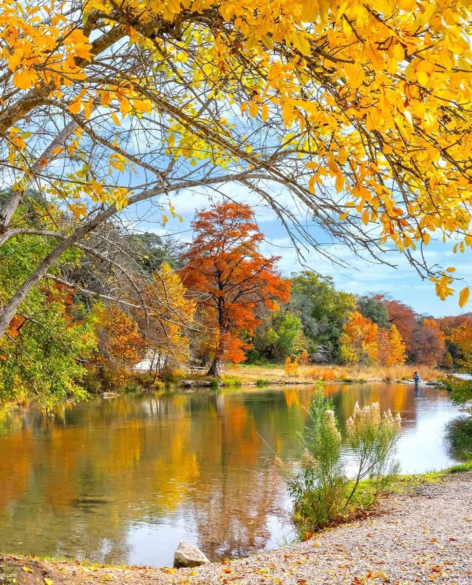Fall in Texas Fall in Texas