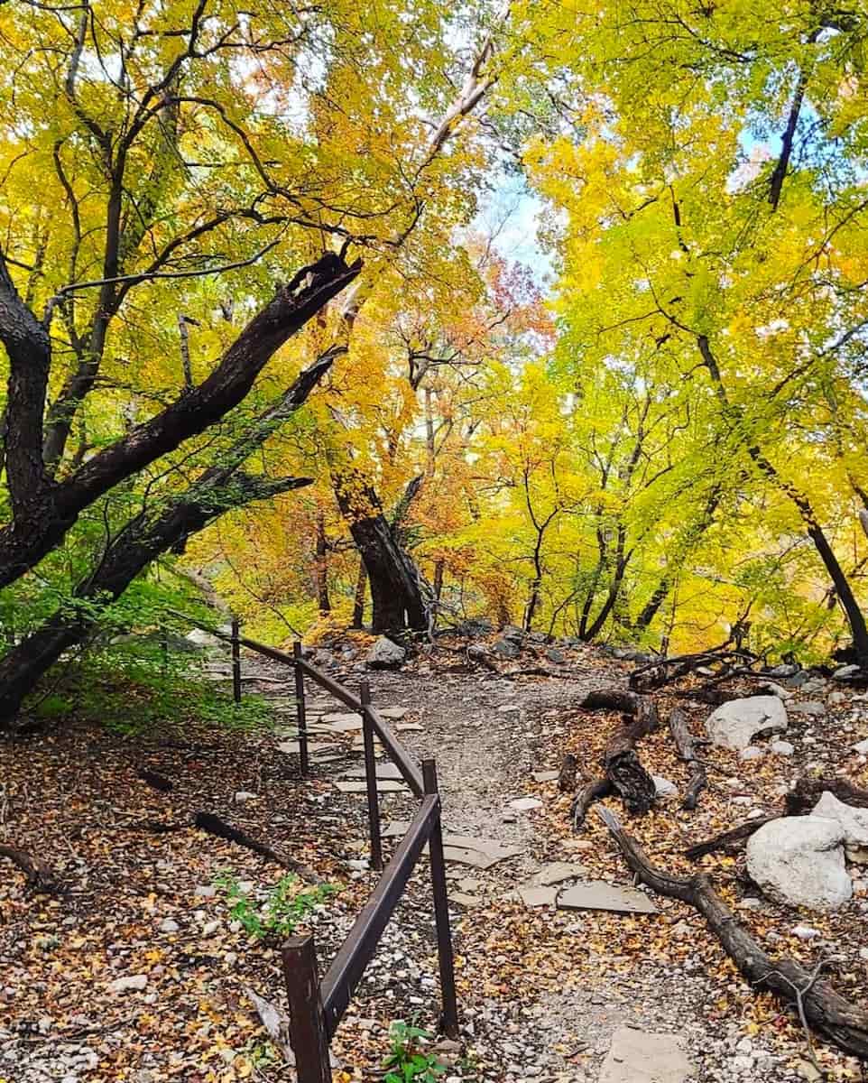 Fall in Texas Fall in Texas