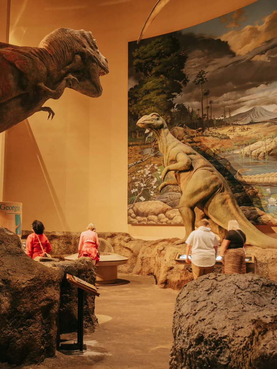 Inside of Fernbank Museum, Georgia, US Inside of Fernbank Museum, Georgia, US