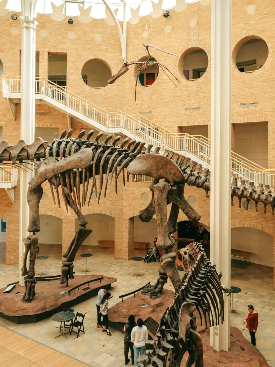 Inside of Fernbank Museum, Georgia, US Inside of Fernbank Museum, Georgia, US