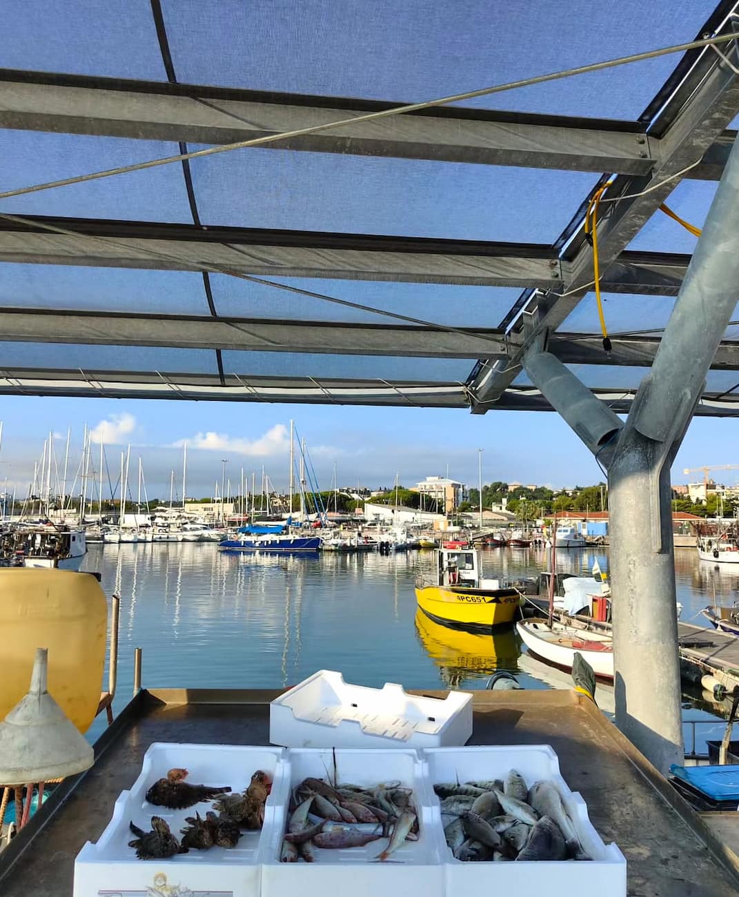 Fishermen at the Marina Tropea Fishermen at the Marina Tropea