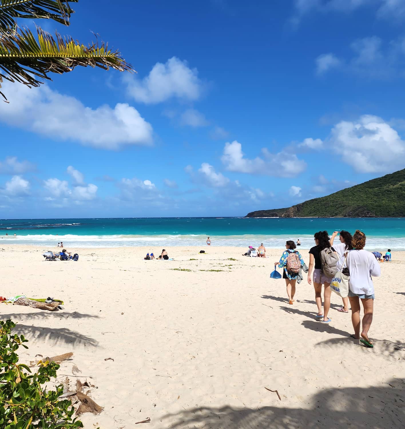 Flamenco Beach, Puerto Rico