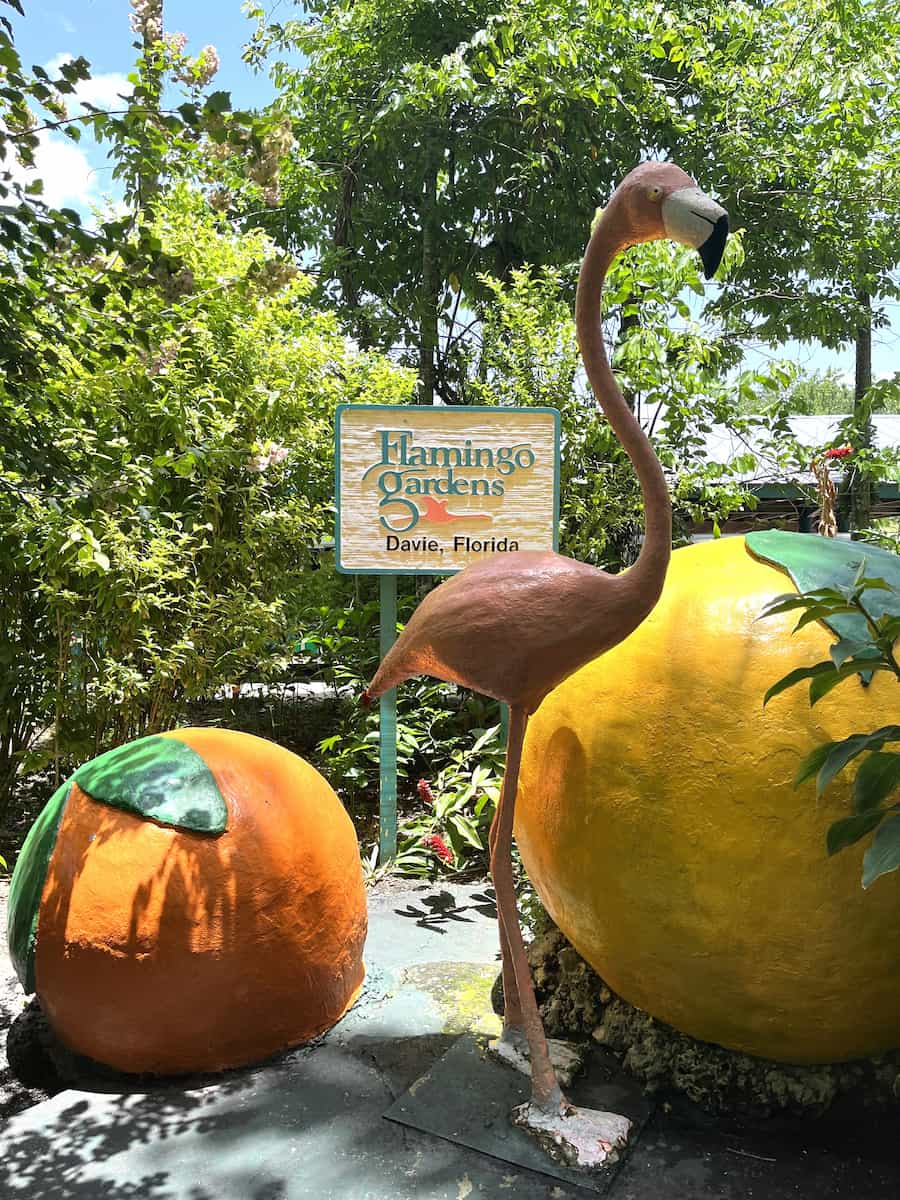 Flamingo Gardens Fort Lauderdale Flamingo Gardens Fort Lauderdale