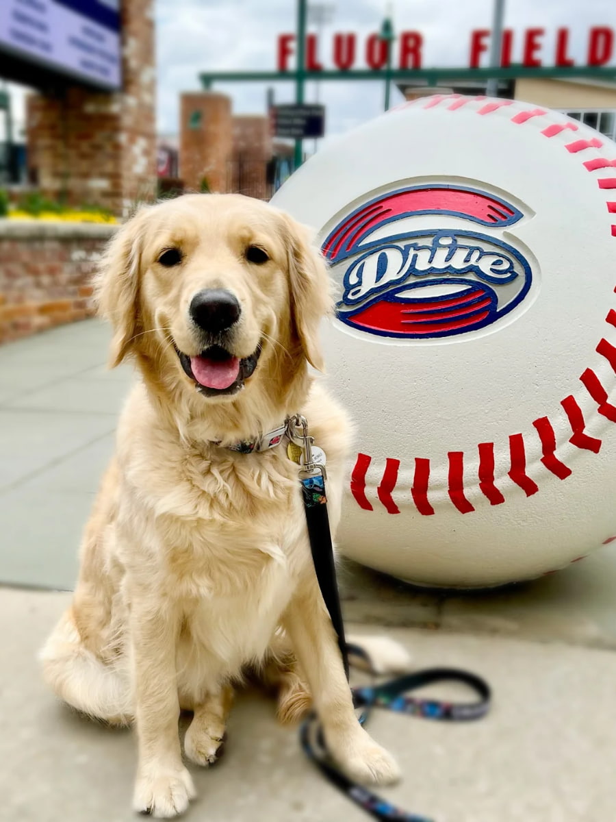 Fluor Field & Greenville Drive Baseball, Greenville Fluor Field & Greenville Drive Baseball, Greenville